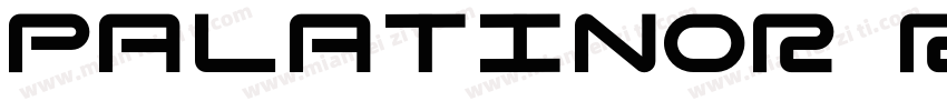 PalatinoR Regular字体转换